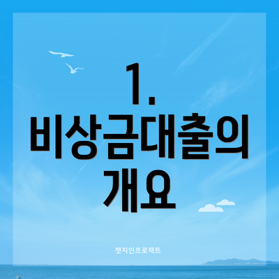 1. 비상금대출의 개요