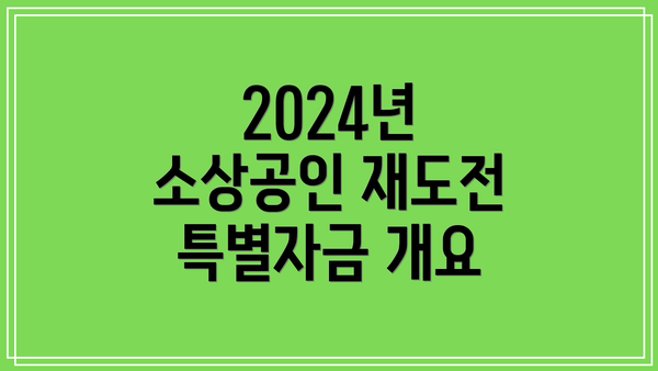 2024년 소상공인 재도전 특별자금 개요