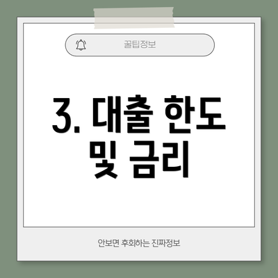 3. 대출 한도 및 금리