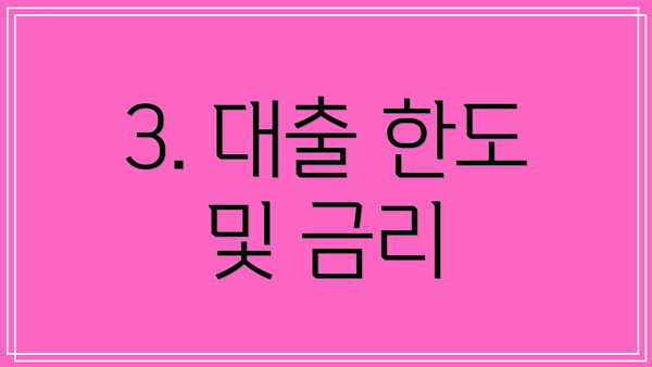 3. 대출 한도 및 금리