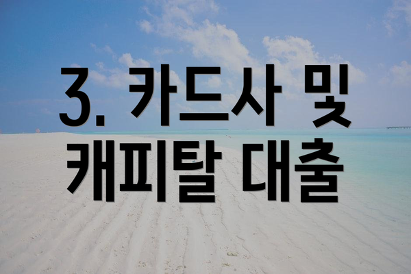 3. 카드사 및 캐피탈 대출
