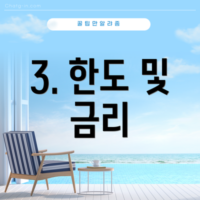 3. 한도 및 금리