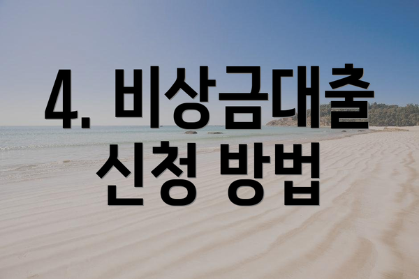 4. 비상금대출 신청 방법