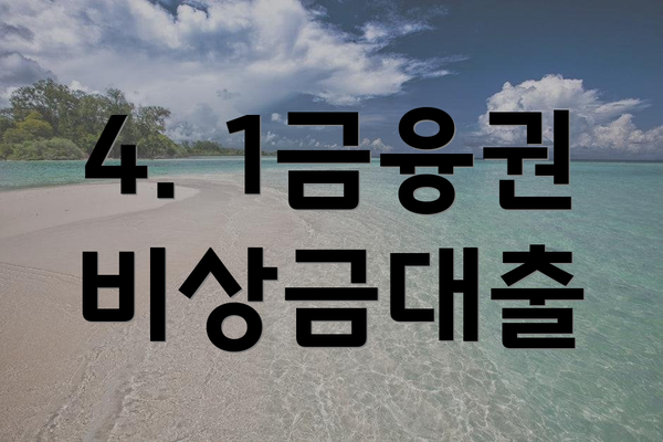 4. 1금융권 비상금대출