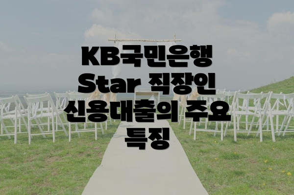 KB국민은행 Star 직장인 신용대출의 주요 특징