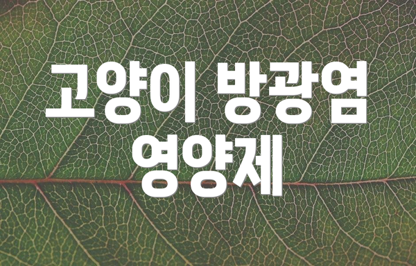 고양이 방광염 영양제