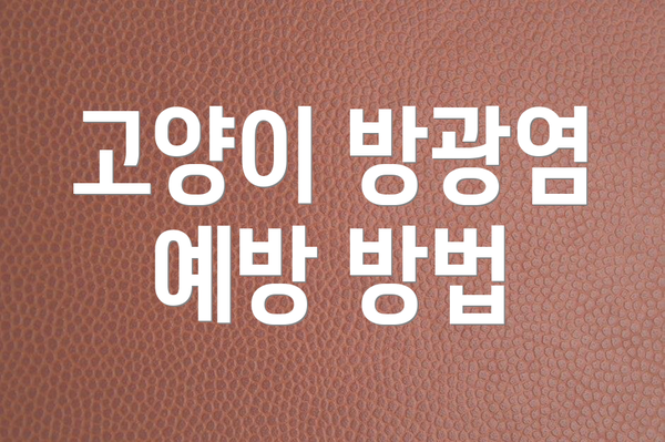 고양이 방광염 예방 방법
