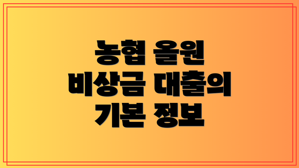 농협 올원 비상금 대출의 기본 정보