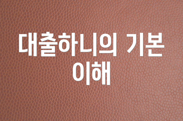 대출하니의 기본 이해