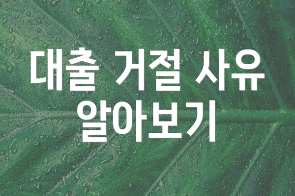 대출 거절 사유 알아보기