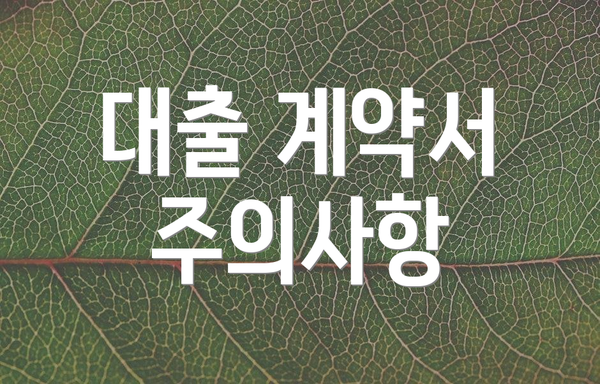대출 계약서 주의사항