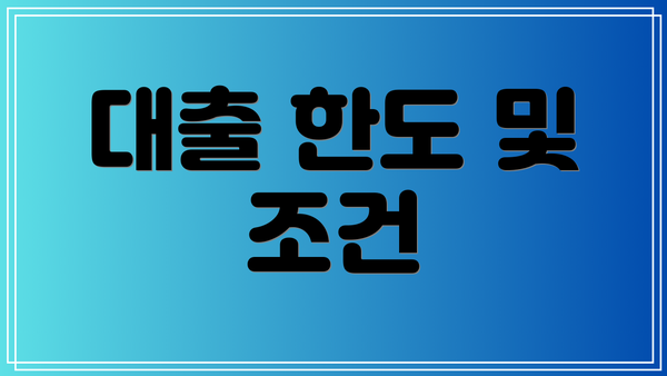 대출 한도 및 조건