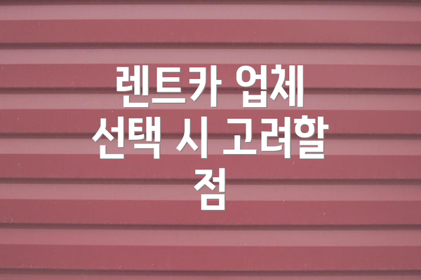 렌트카 업체 선택 시 고려할 점