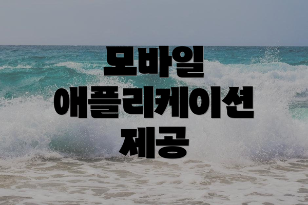 모바일 애플리케이션 제공