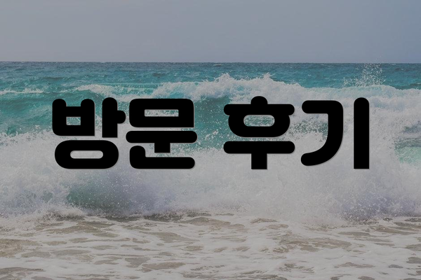 방문 후기
