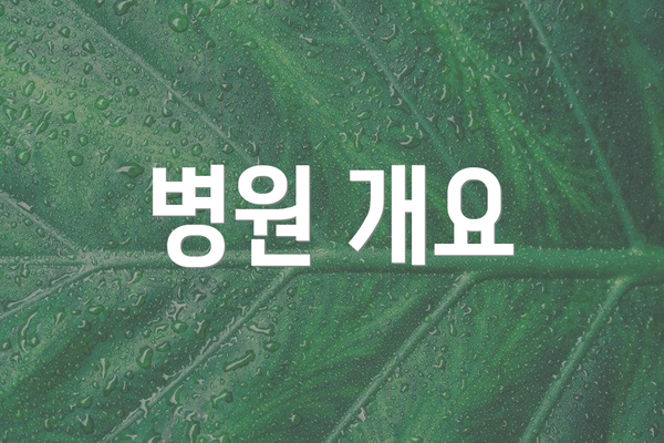 병원 개요