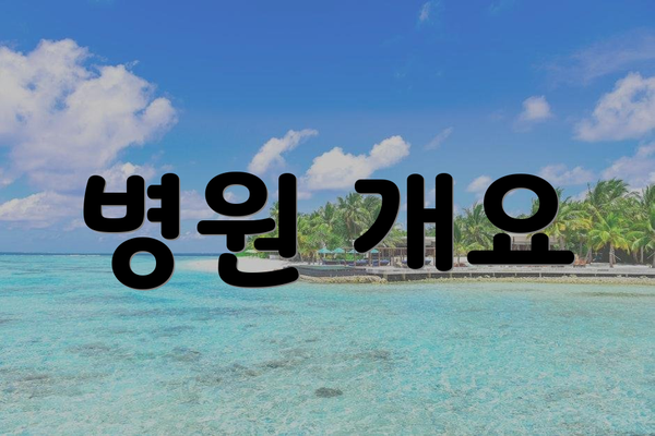 병원 개요