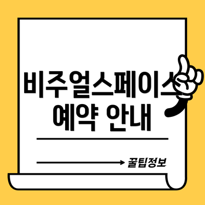 비주얼스페이스 예약 안내