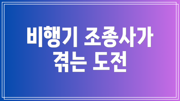 비행기 조종사가 겪는 도전