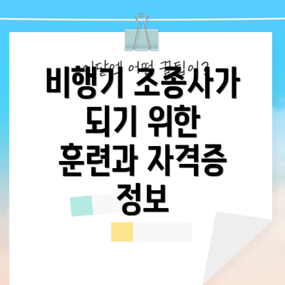 비행기 조종사가 되기 위한 훈련과 자격증 정보