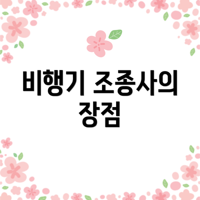 비행기 조종사의 장점