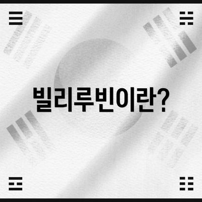 빌리루빈이란?