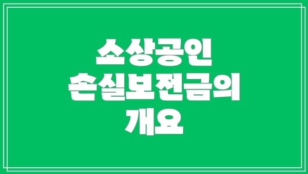 소상공인 손실보전금의 개요