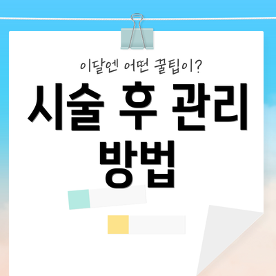 시술 후 관리 방법