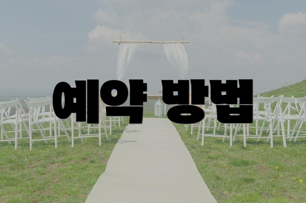 예약 방법