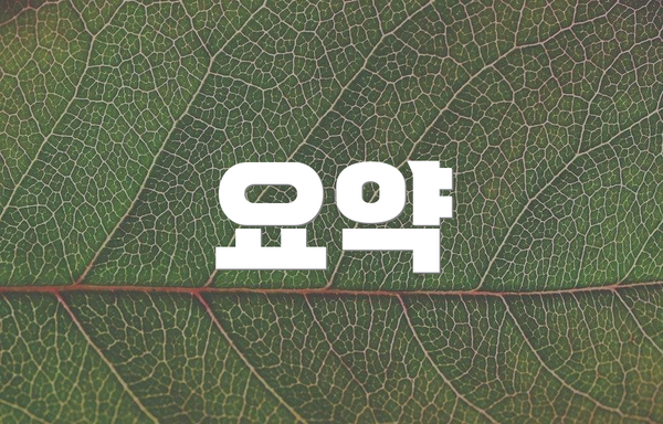 요약