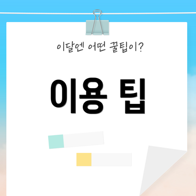 이용 팁
