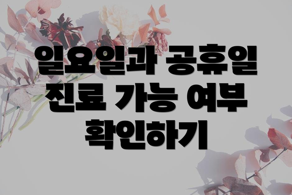 일요일과 공휴일 진료 가능 여부 확인하기