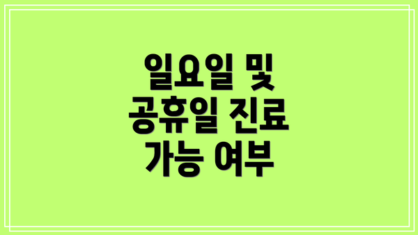 일요일 및 공휴일 진료 가능 여부