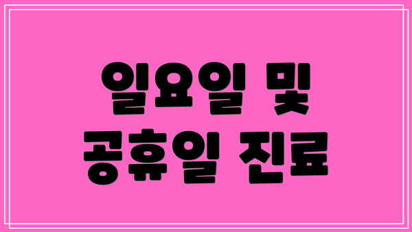일요일 및 공휴일 진료