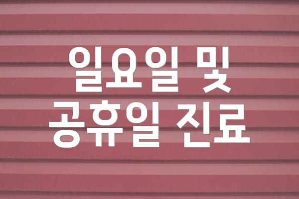 일요일 및 공휴일 진료