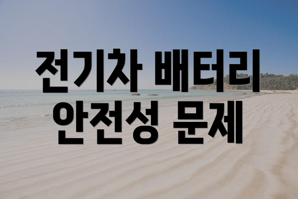 전기차 배터리 안전성 문제