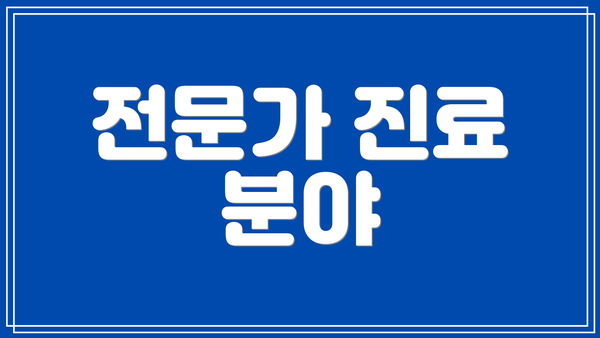 전문가 진료 분야