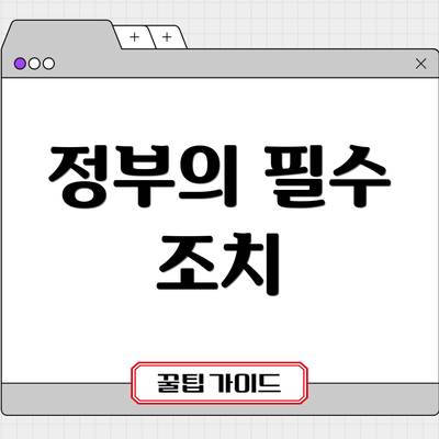 정부의 필수 조치