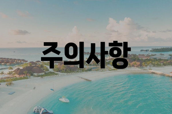 주의사항