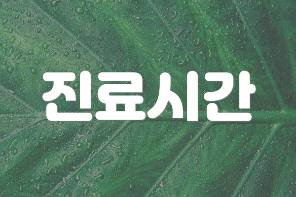 진료시간