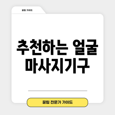 추천하는 얼굴 마사지기구