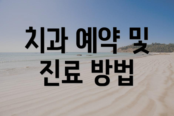 치과 예약 및 진료 방법