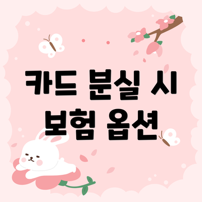 카드 분실 시 보험 옵션