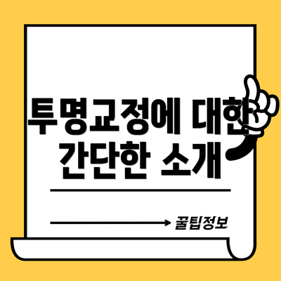 투명교정에 대한 간단한 소개