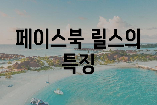 페이스북 릴스의 특징