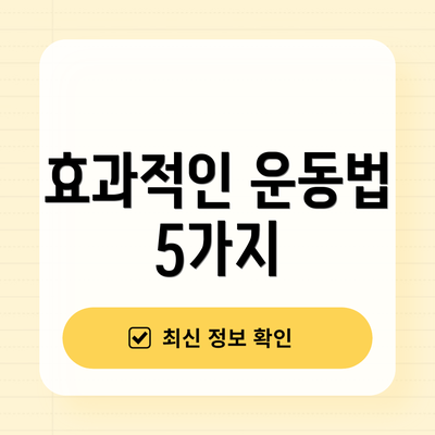 효과적인 운동법 5가지