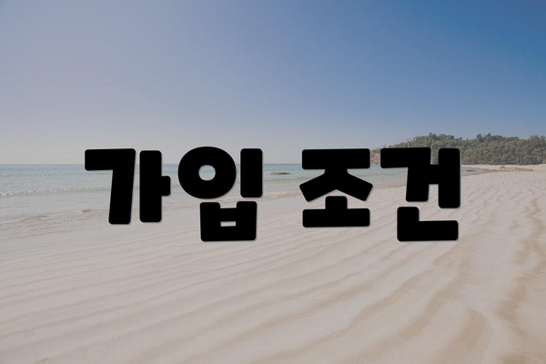 가입 조건