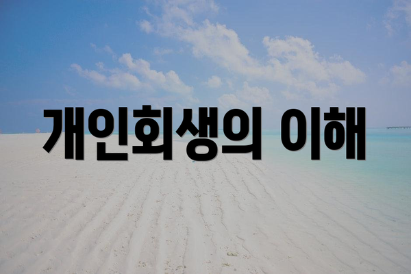 개인회생의 이해