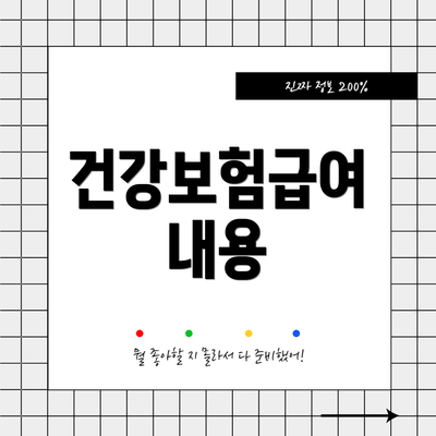 건강보험급여 내용