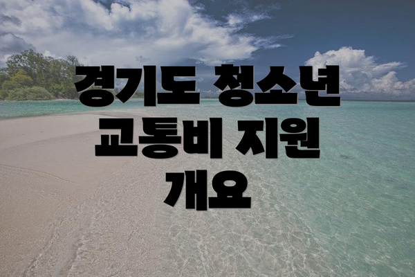 경기도 청소년 교통비 지원 개요